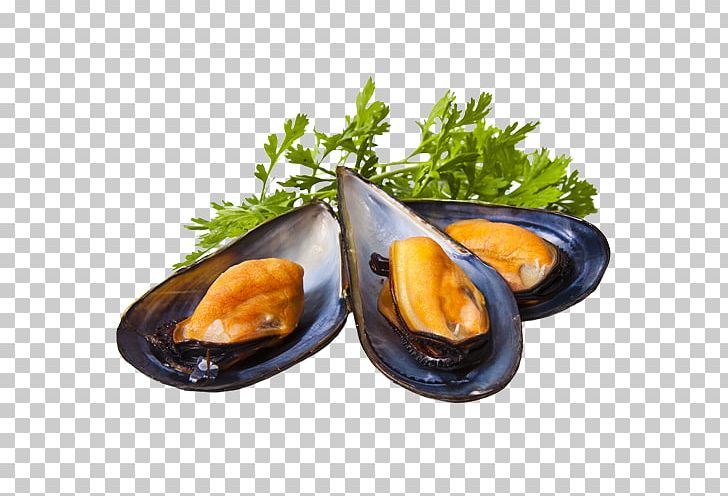 Mediterranean Mussel Seafood Restaurant PNG, Clipart, Animal Source Foods, Bread, Clam, Clams Oysters Mussels And Scallops, Cuisine Free PNG Download
