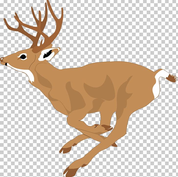 White-tailed Deer Running PNG, Clipart, Antler, Cuteness, Deer, Deer Hunting, Drawing Free PNG Download