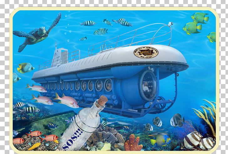 Atlantis Submarines Barbados Inc. Aruba Waikiki Cozumel PNG, Clipart, Aruba, Atlantis Paradise Island, Barbados, Cozumel, Ecosystem Free PNG Download