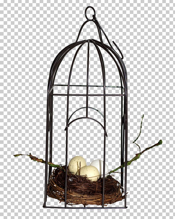 Birdcage Birdcage Cell Portable Network Graphics PNG, Clipart, Animals, Bird, Birdcage, Cage, Cell Free PNG Download