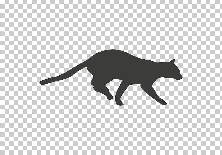Cat Cougar Kitten PNG, Clipart, Animals, Black, Black And White, Black Cat, Carnivoran Free PNG Download