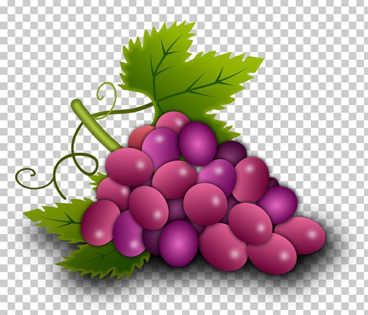 Grapevines Food Grape Leaves Seedless Fruit PNG, Clipart, Beet, Digital Art, First Communion, Flowering Plant, Food Free PNG Download