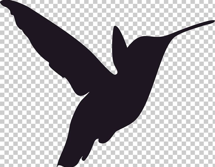 Hummingbird Stencil Silhouette PNG, Clipart, Animals, Art, Beak, Black And White, Blackchinned Hummingbird Free PNG Download