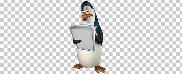 Madagascar Penguins PNG, Clipart, Madagascar Penguins Free PNG Download