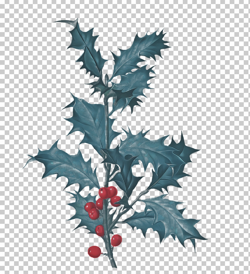 Leaf Painting PNG, Clipart, American Holly, Aquifoliales, Biology, Branch, Common Holly Free PNG Download