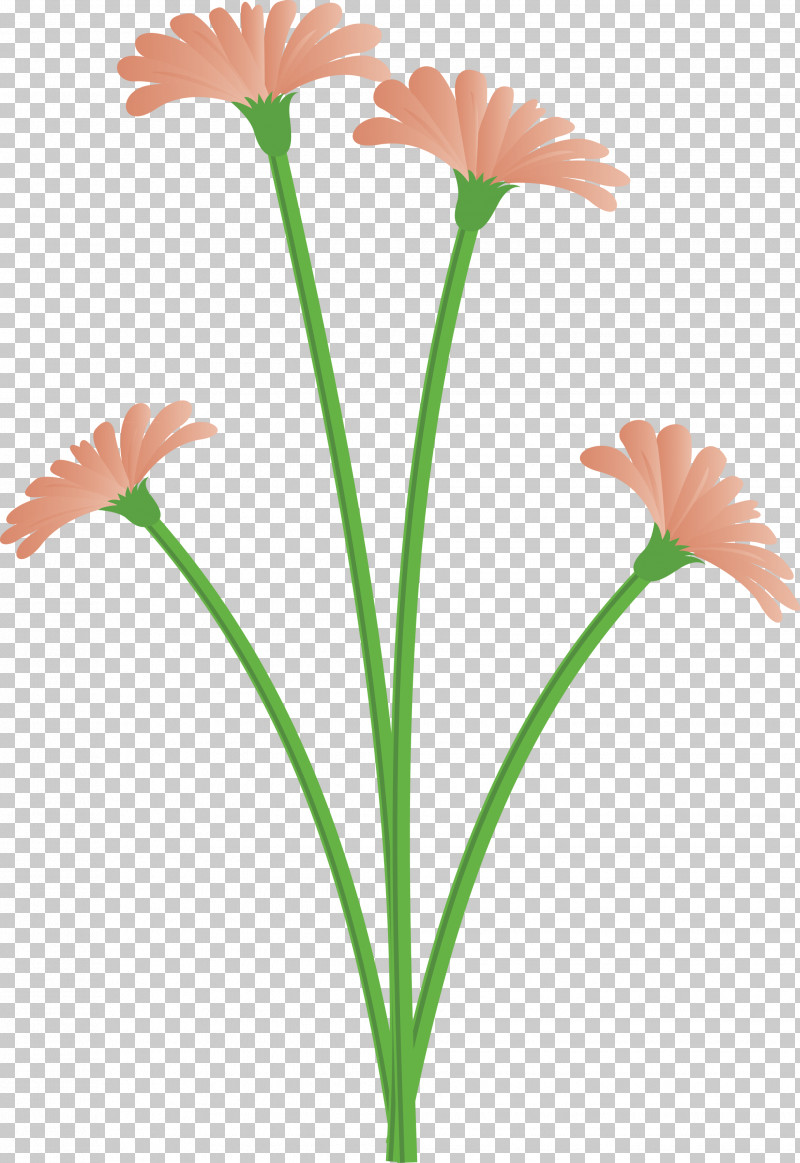 Dandelion Flower PNG, Clipart, Biology, Cut Flowers, Dandelion Flower, Flora, Flower Free PNG Download