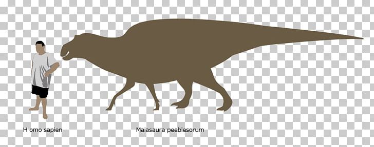 Maiasaura Hadrosaurus Edmontosaurus Regalis Zoo Tycoon 2 PNG, Clipart, Animal, Beak, Bird, Dinosaur, Edmontosaurus Free PNG Download