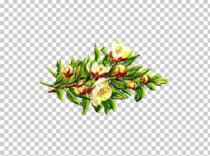 Paper Flower Bouquet PNG, Clipart, Branch, Bud, Digital Scrapbooking, Drawing, Floral Design Free PNG Download