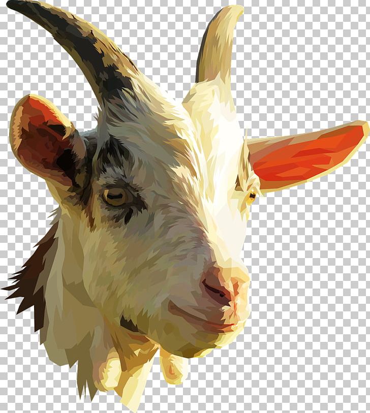 Pygmy Goat Nigerian Dwarf Goat Spanish Goat Sheep IPhone 7 Plus PNG, Clipart, Animal, Animals, Cartoon Goat, Cattle Like Mammal, Claw Free PNG Download