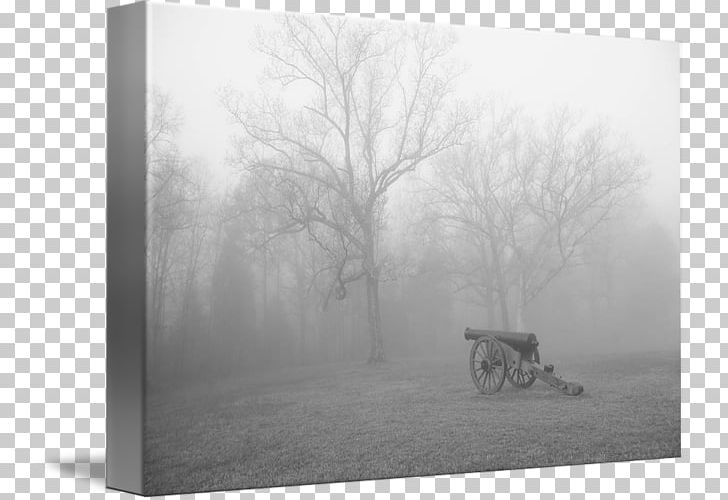Stock Photography Wood Tree PNG, Clipart, Black And White, Fog, Jim Jones, Landscape, M083vt Free PNG Download