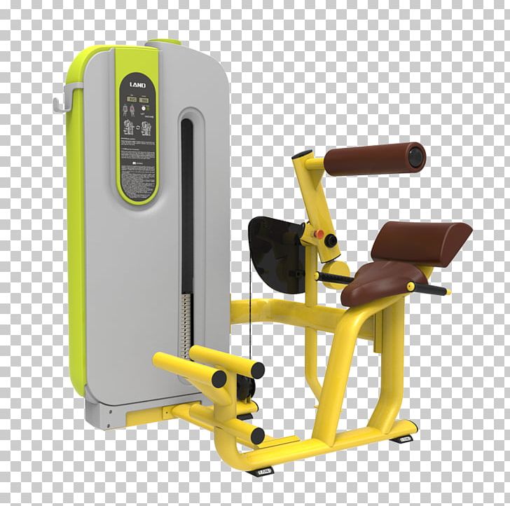 Fitness Centre Exercise Equipment Weight Training Strength Training PNG, Clipart, Bodybuilding, Dezhou, Exercise, Exercise Equipment, Exercise Machine Free PNG Download