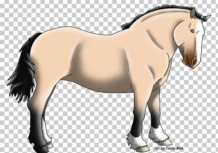Stallion Mustang Rein Mare Bridle PNG, Clipart, Bit, Bridle, Colt, Draught, English Riding Free PNG Download