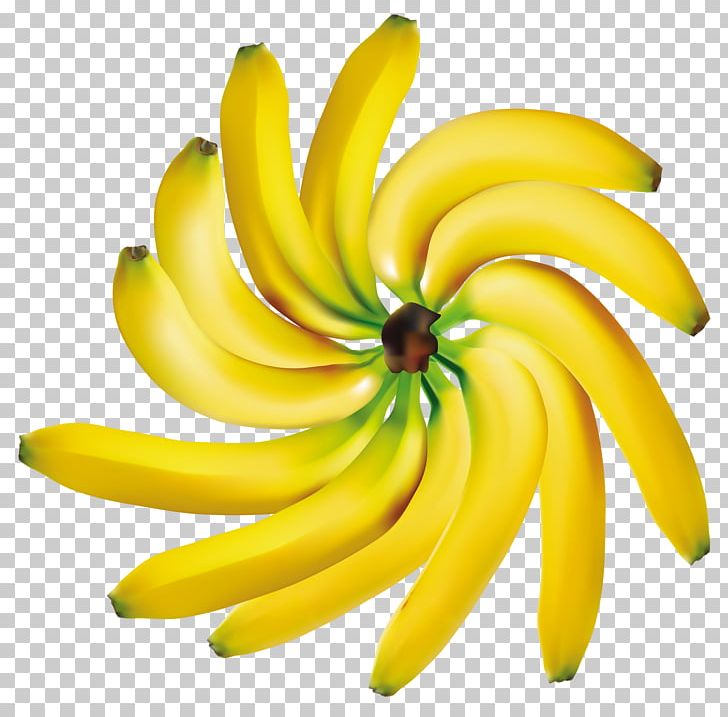 Banana Fruit PNG, Clipart, Apple, Apricot, Banana, Banana Family, Banana Peel Free PNG Download
