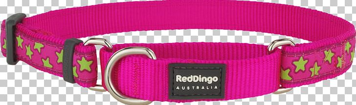 Dog Collar Clothing Accessories PNG, Clipart, Clothing Accessories, Collar, Dog, Dog Collar, Fashion Free PNG Download