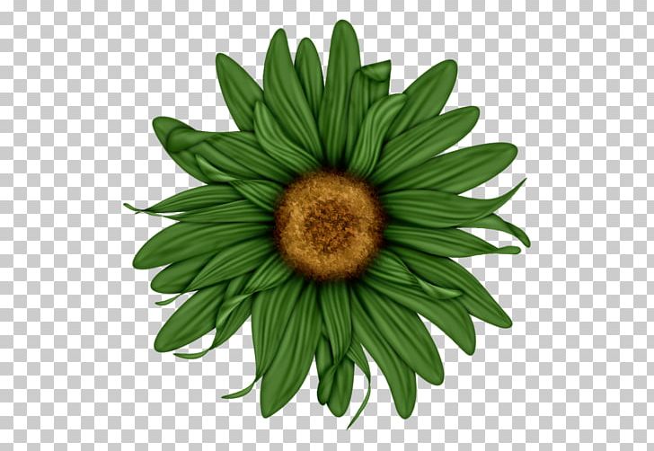 Flower Desktop PNG, Clipart, Autocad Dxf, Common Daisy, Common Sunflower, Computer Icons, Daisy Free PNG Download