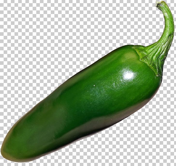 Jalapeño Habanero Bell Pepper Serrano Pepper Poblano PNG, Clipart, Bell Pepper, Bell Peppers And Chili Peppers, Capsicum, Cayenne Pepper, Chili Pepper Free PNG Download