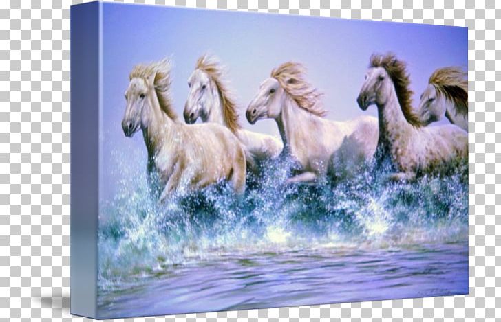 Mustang Arabian Horse Thoroughbred Watercolor Painting PNG, Clipart, Arabian Horse, Fauna, Horse, Horse Like Mammal, Lithophane Free PNG Download