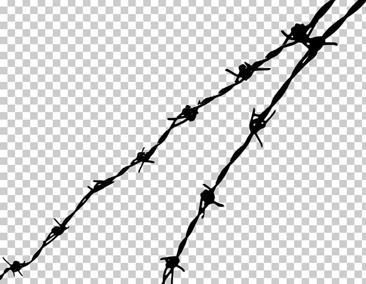 Barbed Wire Barbed Tape PNG, Clipart, Barb, Barbed, Barbed Wire, Black And White, Branch Free PNG Download