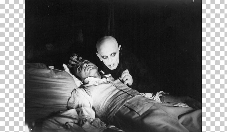Count Orlok Count Dracula Vampire Film Director PNG, Clipart, Black And White, Cinema, Count Dracula, Count Orlok, Fantasy Free PNG Download