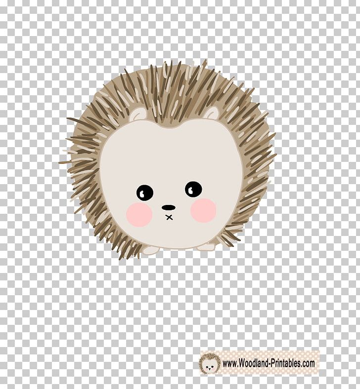 Hedgehog Foal Paper Wall Decal Sticker PNG, Clipart, Animals, Cuteness, Decal, Erinaceidae, Foal Free PNG Download