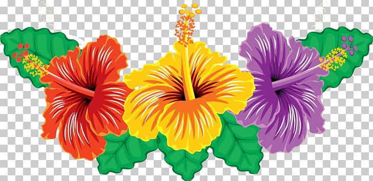 Hibiscus PNG, Clipart, Annual Plant, Computer Icons, Cut Flowers, Download, Encapsulated Postscript Free PNG Download