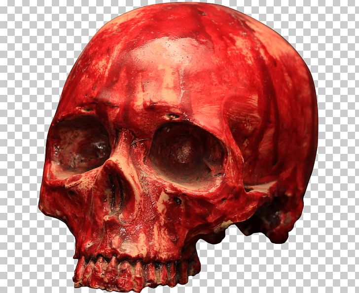 Skull Blood Skeleton Bone 骷髅 PNG, Clipart, Blood, Blood Plasma, Bloody, Bone, Decoration Free PNG Download