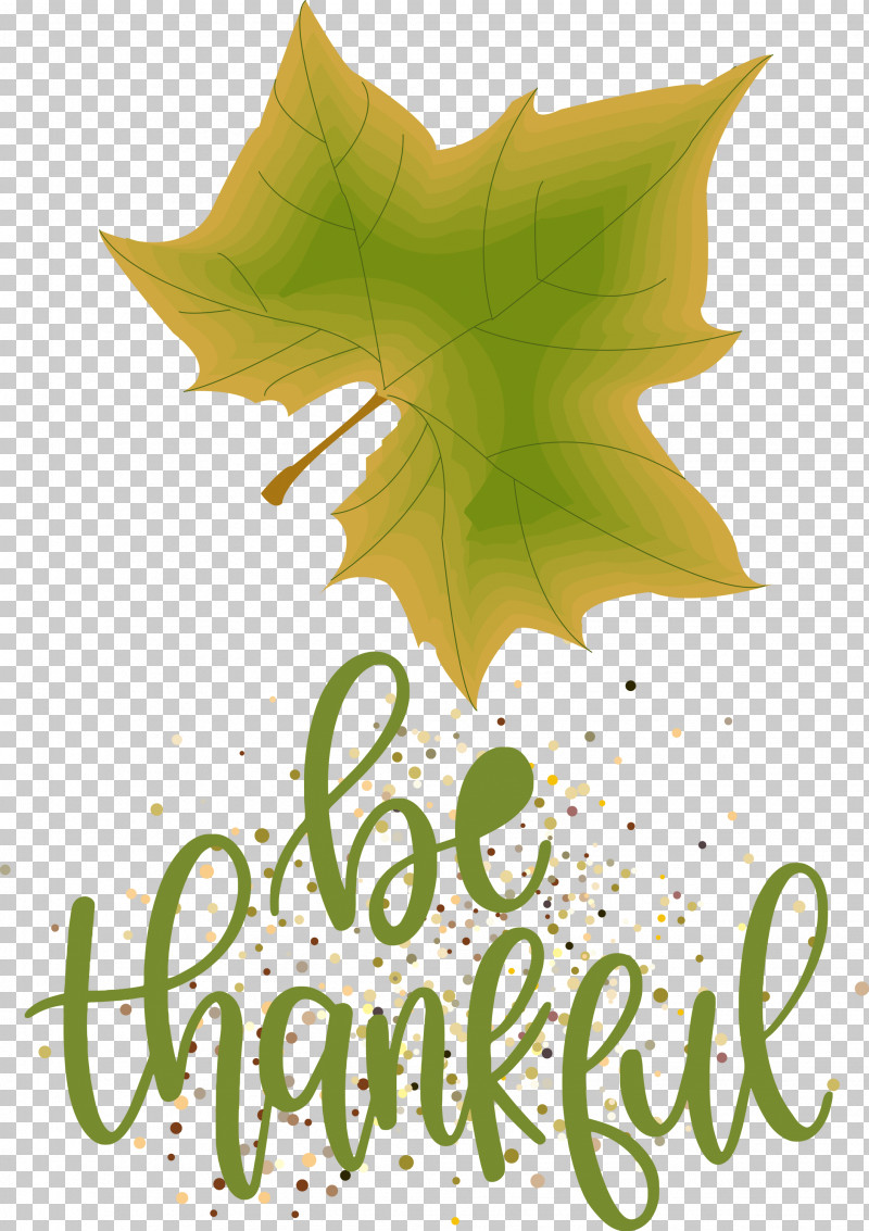 Thanksgiving Be Thankful Give Thanks PNG, Clipart, Be Thankful, Biology, Flower, Give Thanks, Green Free PNG Download