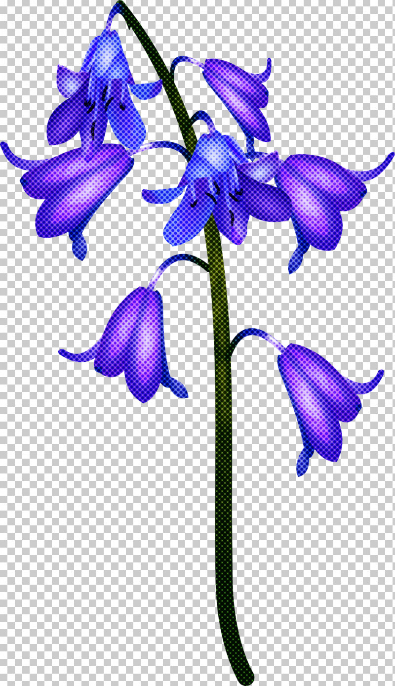 Flower Plant Purple Violet Bellflower Family PNG, Clipart, Bellflower, Bellflower Family, Flower, Pedicel, Petal Free PNG Download