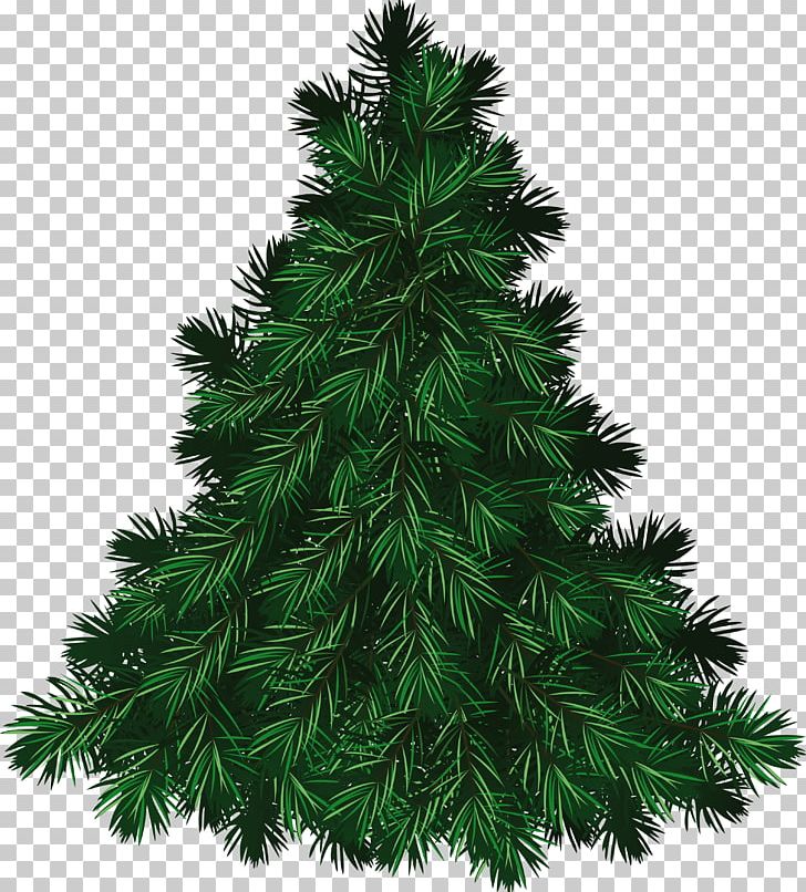 Balsam Fir The Fir-Tree Pine Cedar The Little Fir Tree PNG, Clipart, Beautiful, Christmas, Christmas Decoration, Christmas Ornament, Christmas Tree Free PNG Download