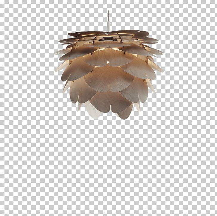 Pendant Light Lamp Charms & Pendants Lighting Chandelier PNG, Clipart, Canopy, Ceiling, Ceiling Fixture, Chandelier, Charms Pendants Free PNG Download