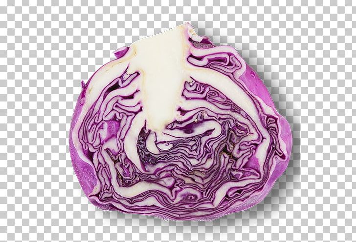 Cabbage Vegetable Korean Cuisine PNG, Clipart, Cabbage, Cabbage Cartoon, Cabbage Leaves, Cartoon Cabbage, Chinese Cabbage Free PNG Download