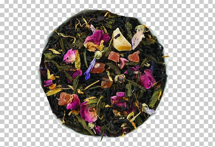 Green Tea Oolong Sencha Gunpowder Tea PNG, Clipart, Assam Tea, Black Tea, Blending, Cafe, Camellia Sinensis Free PNG Download