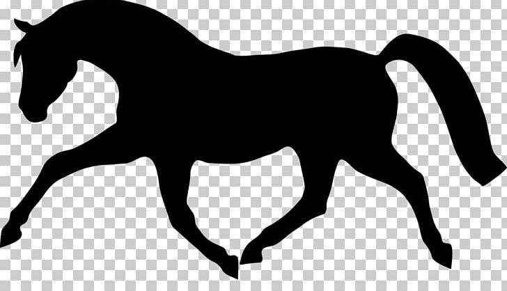 Mustang Stallion Pony Rein English Riding PNG, Clipart, Black, Black And White, Bridle, Colt, Dressage Free PNG Download