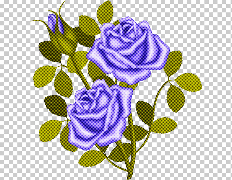 Blue Rose PNG, Clipart, Blue Rose, Camellia, Floribunda, Flower, Garden Roses Free PNG Download