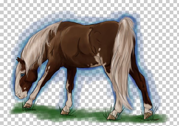 Foal Stallion Mare Mustang Pony PNG, Clipart, Bridle, Colt, Foal, Halter, Horse Free PNG Download