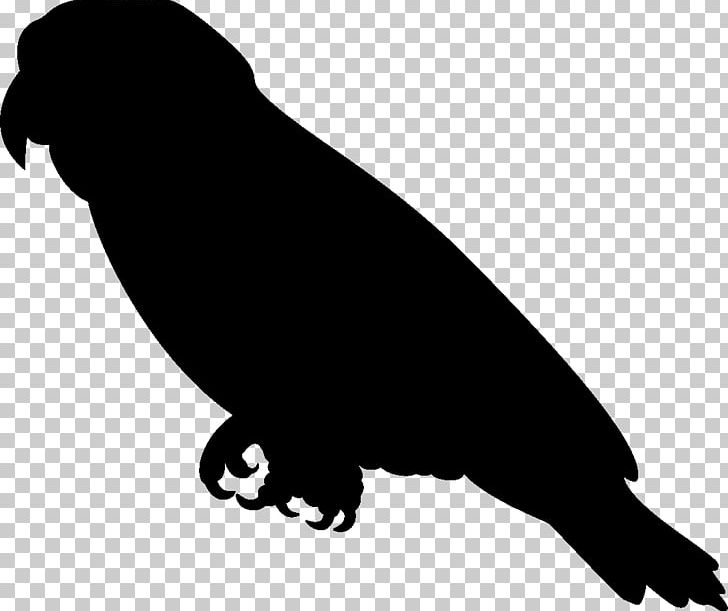 Amazon Parrot Silhouette PNG, Clipart, Amazon Parrot, Animals, Artwork, Beak, Bird Free PNG Download