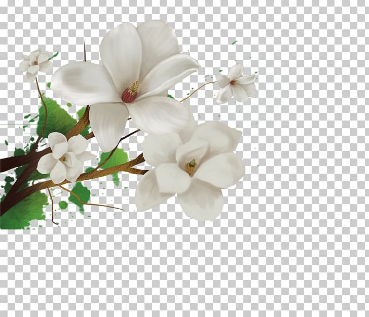 Cape Jasmine Flower PNG, Clipart, Adobe Illustrator, Blossom, Branch, Calla Lily, Cape Jasmine Free PNG Download