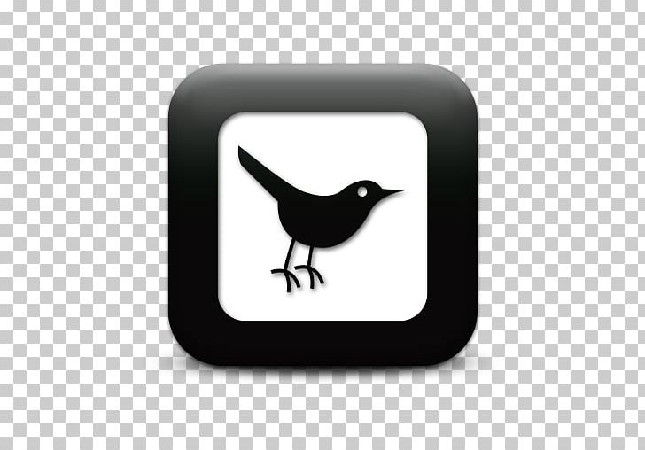 Computer Icons Social Media Photography Icon Design Twitter PNG, Clipart, Beak, Bird, Black And White, Computer Icons, Download Free PNG Download