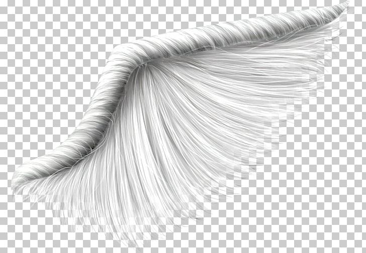 Drawing /m/02csf Brush Product Design Eyelash PNG, Clipart, 17 March, Black, Black And White, Brush, Drawing Free PNG Download