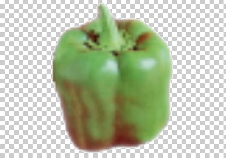 GIMP Brush Bell Pepper Chili Pepper Layers PNG, Clipart, 4chan, Apple, Bell Pepper, Bell Peppers And Chili Peppers, Brush Free PNG Download