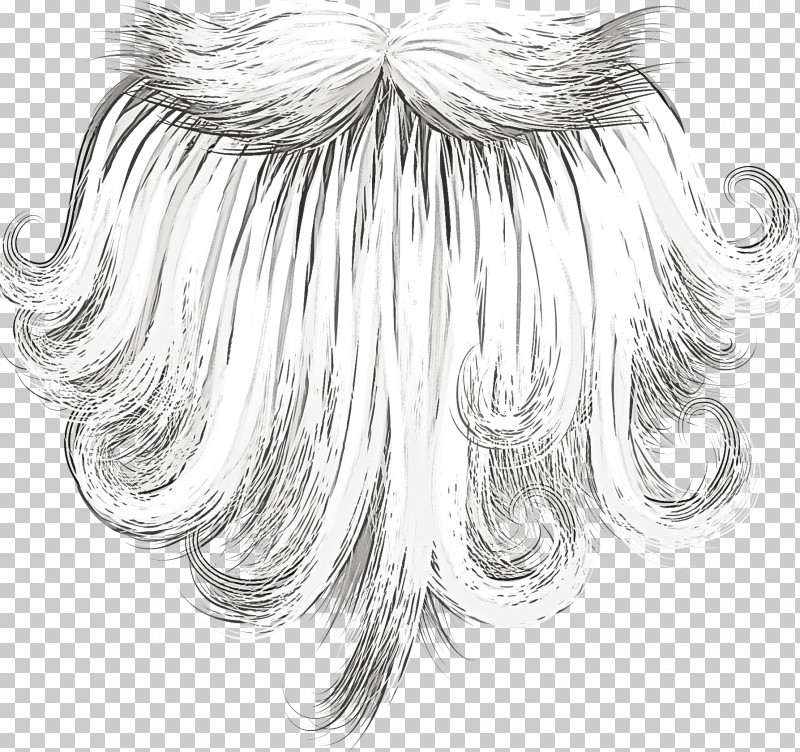 Feather PNG, Clipart, Blackandwhite, Drawing, Feather, Fur, Hair Free PNG Download