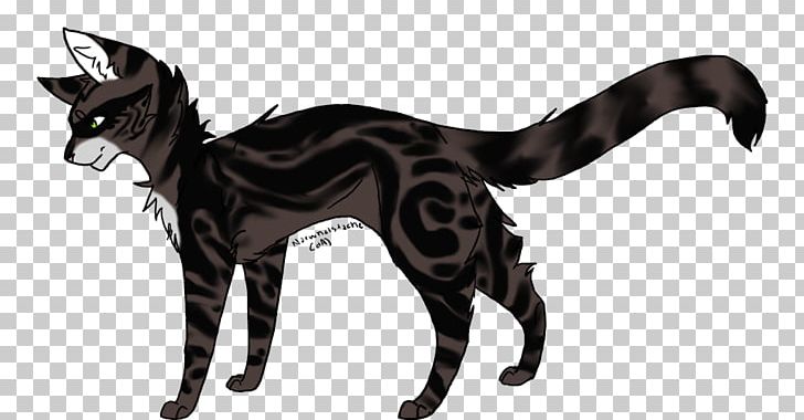 Cat Mammal Horse Canidae Homo Sapiens PNG, Clipart, Animals, Big Cat, Big Cats, Black, Canidae Free PNG Download