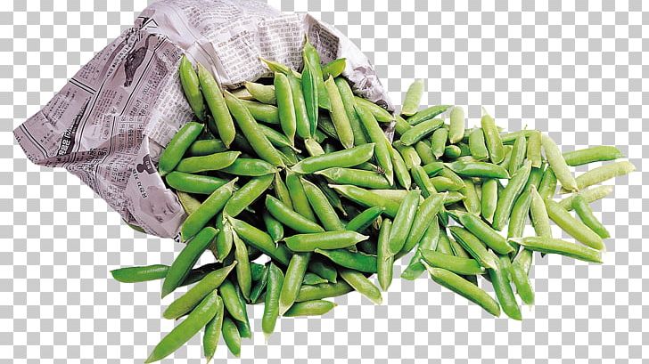 Green Bean Common Bean Lima Bean Crop Yield PNG, Clipart, Bean, Canker, Commodity, Common Bean, Crop Yield Free PNG Download