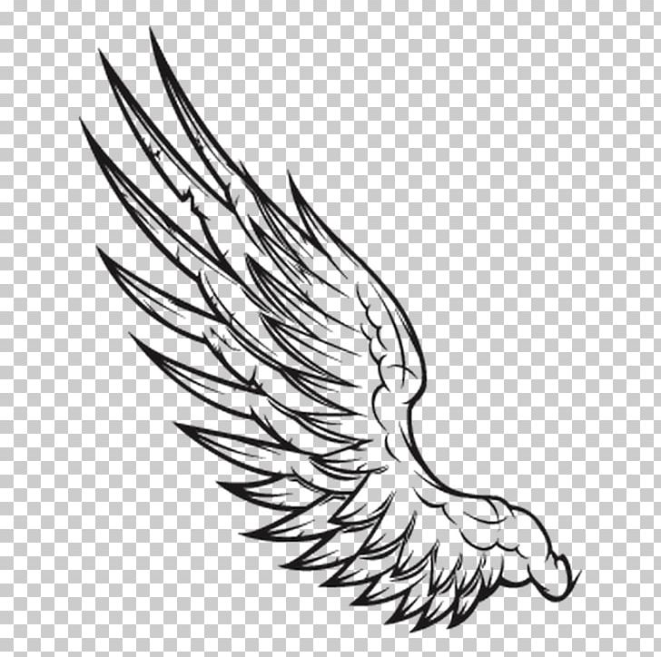 Wing Black And White PNG, Clipart, Art, Artwork, Beak, Bird, Black And White Free PNG Download