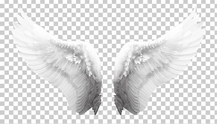 Angel Poster Drawing Heaven PNG, Clipart, Angel, Angelologia, Archangel, Beak, Black And White Free PNG Download