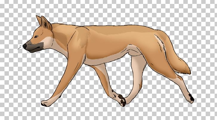 Dog Breed Dingo New Guinea Singing Dog PNG, Clipart, Animals, Breed, Canis, Canis Lupus, Carnivoran Free PNG Download