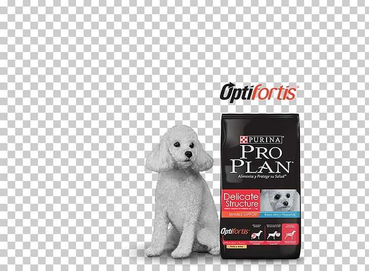 Puppy Dog Breed Poodle Chow Chow Non-sporting Group PNG, Clipart, Animals, Breed, Carnivoran, Chow Chow, Companion Dog Free PNG Download
