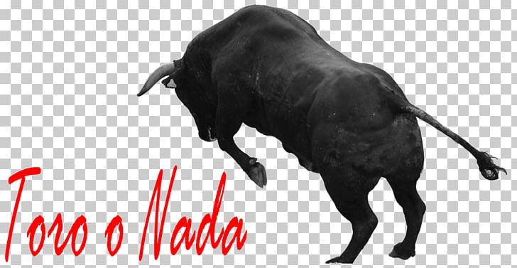 Spanish Fighting Bull Horn Running Of The Bulls Ox PNG, Clipart, Animals, Blog, Bull, Bullring, Cattle Free PNG Download