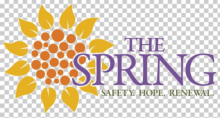 The Spring Of Tampa Bay Organization Tampa Bay Rays Domestic Violence PNG, Clipart, Bay, Brand, Charitable Organization, Commodity, Domestic Violence Free PNG Download