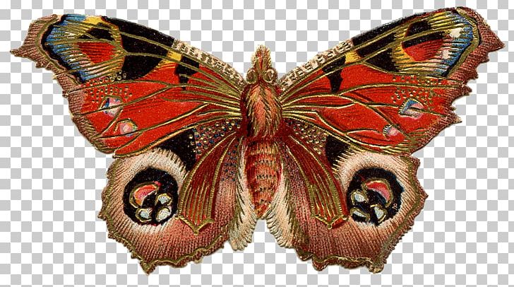 Butterfly Insect Aglais Io Nymphalidae Red Admiral PNG, Clipart, Aglais Io, Animal, Arthropod, Brush Footed Butterfly, Butterflies And Moths Free PNG Download